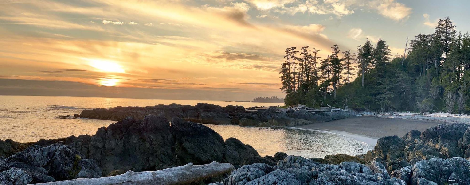 Rocky shoreline at sunset with coniferous forest, calm waters, and golden-lit sky.